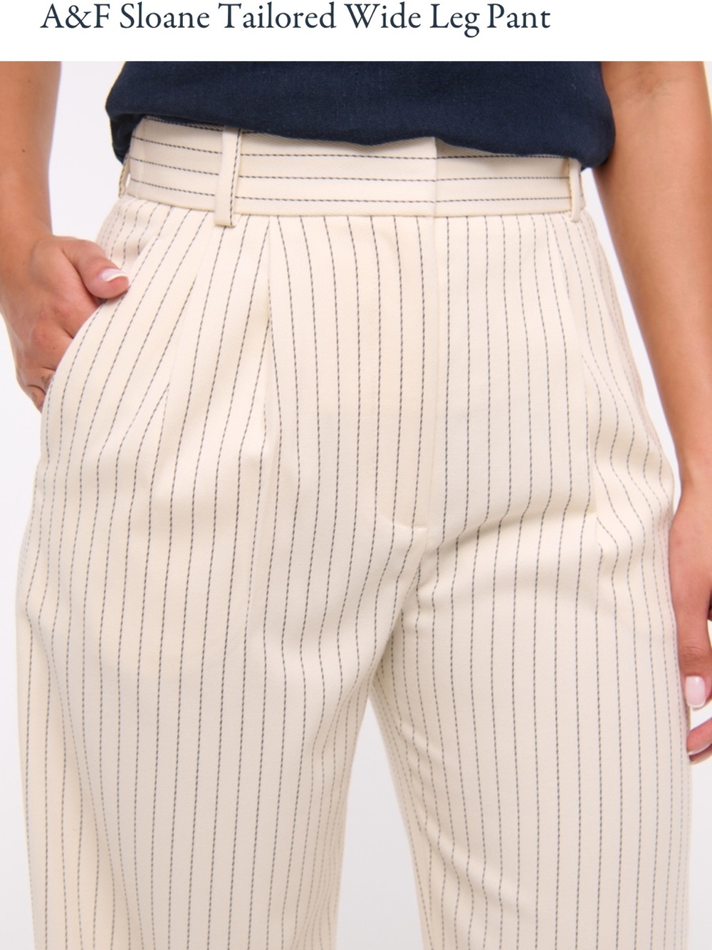 NWT Sloane Tailored Pants Cream Stripe Curve Love 30 Long - Picture 2 of 7